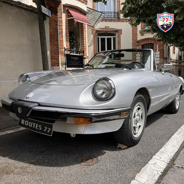 Spider-Alfa-01